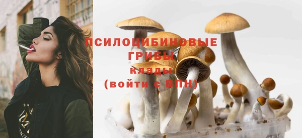 гидра Мегион