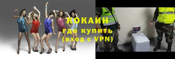 гидра Мегион