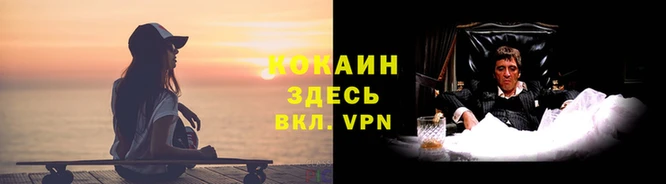 стаф Медвежьегорск