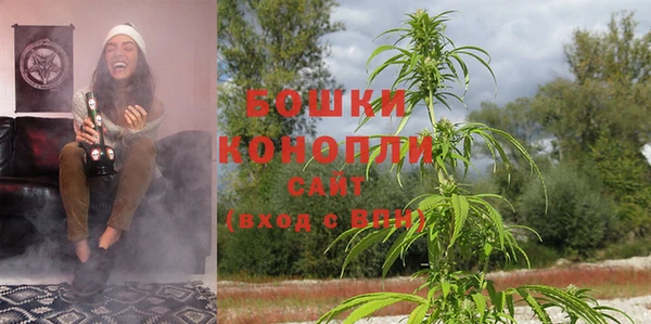 гидра Мегион