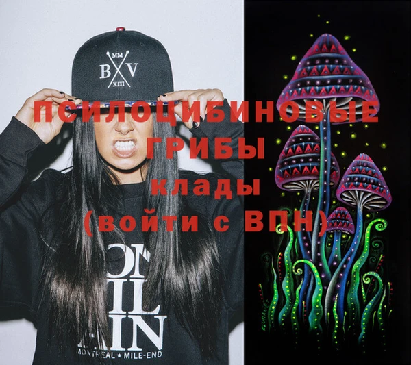 гидра Мегион
