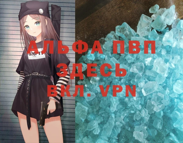 стаф Медвежьегорск