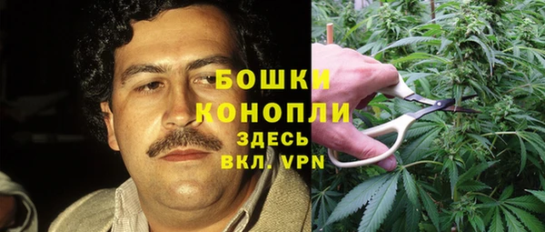 стаф Медвежьегорск