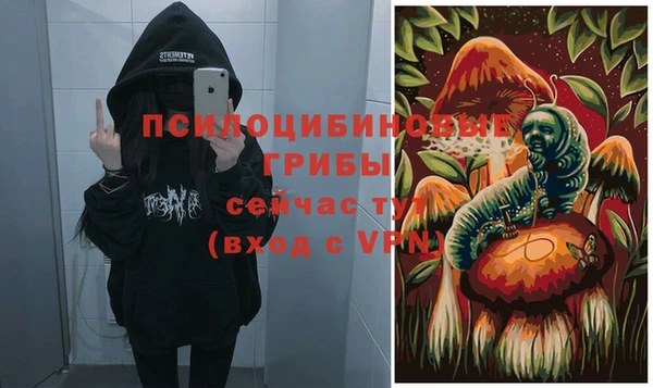 гидра Мегион