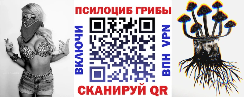 Псилоцибиновые грибы мицелий  Разумное 